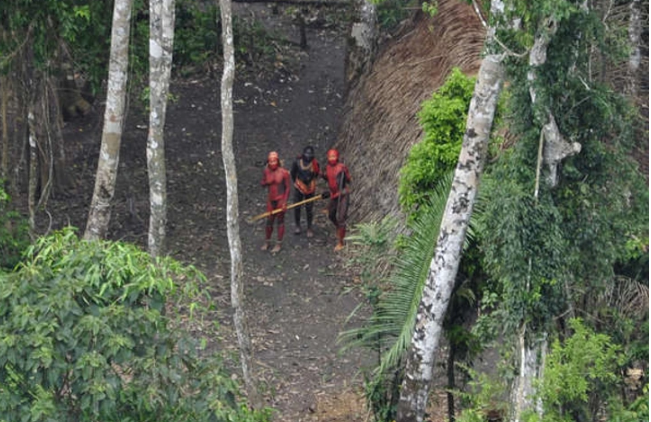 Drone Stumbles Upon an  Drone Stumbles Upon an