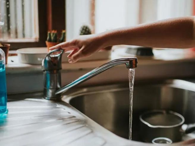 My wife announced her pregnancy in a live stream