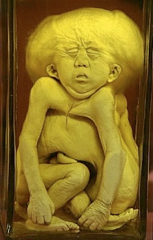 Top 10 Macabre Collectibles